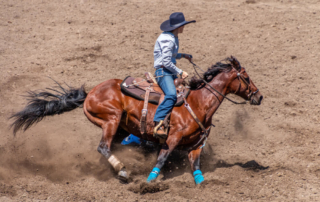 Rodeo show takes place at Stonewall Peach Jamboree and Rodeo in Fredericksburg, Texas.
