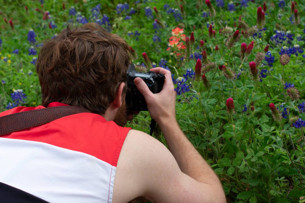 Explore the Texas Hill Country Wildflowers