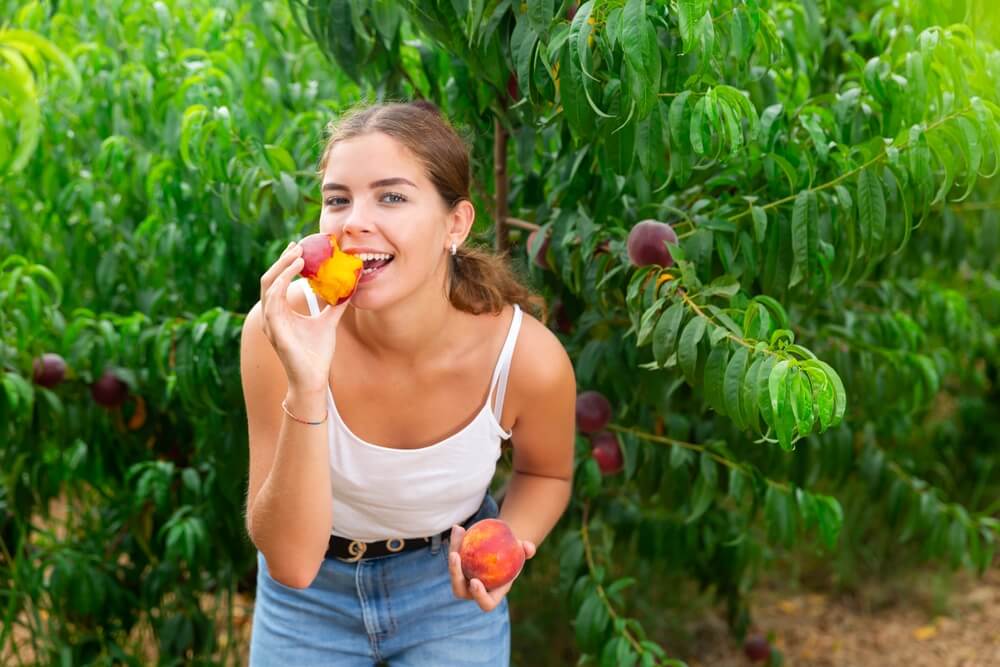 Pick Peaches in Fredericksburg During Your Dreamy Vacation