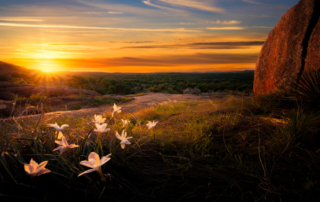 Spend Spring Break in the Texas Hill Country