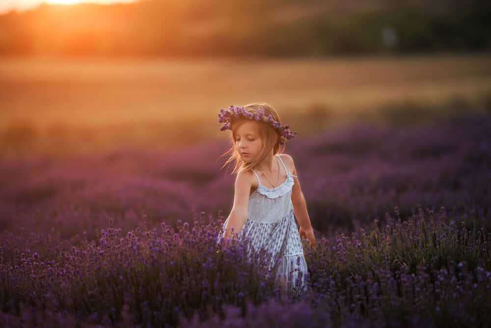 A little girl in a lavender field at the Lavender Festival in Texas