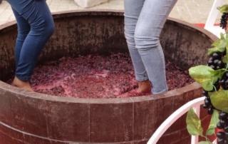 two girls enjoying a Grape Stomp Festival