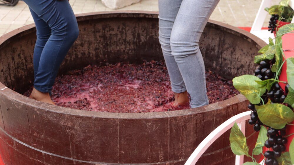 two girls enjoying a Grape Stomp Festival