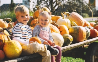 Book Your Stay for a Fredericksburg Fall Festival