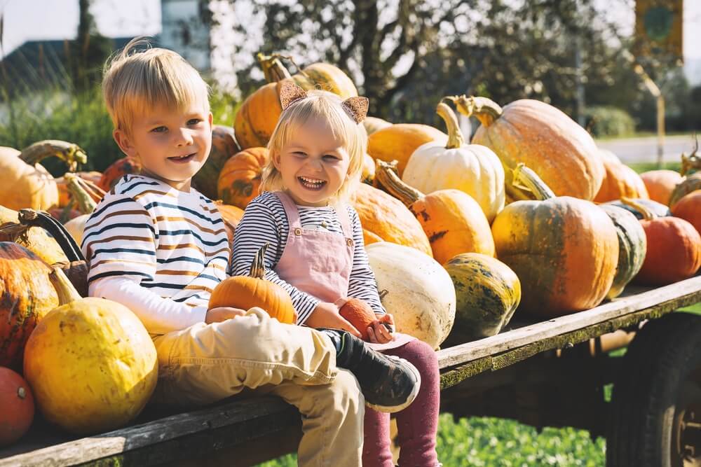 Book Your Stay for a Fredericksburg Fall Festival