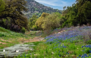 A picture of the Texas Hill Country landscape during a spring getaway