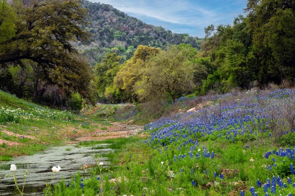 A picture of the Texas Hill Country landscape during a spring getaway