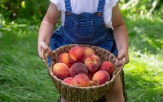 A little girl holding a bucket of Fredericksburg peaches.